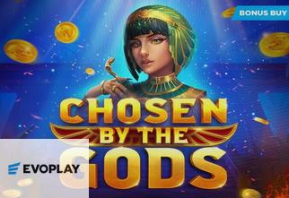 Chosen by the Gods